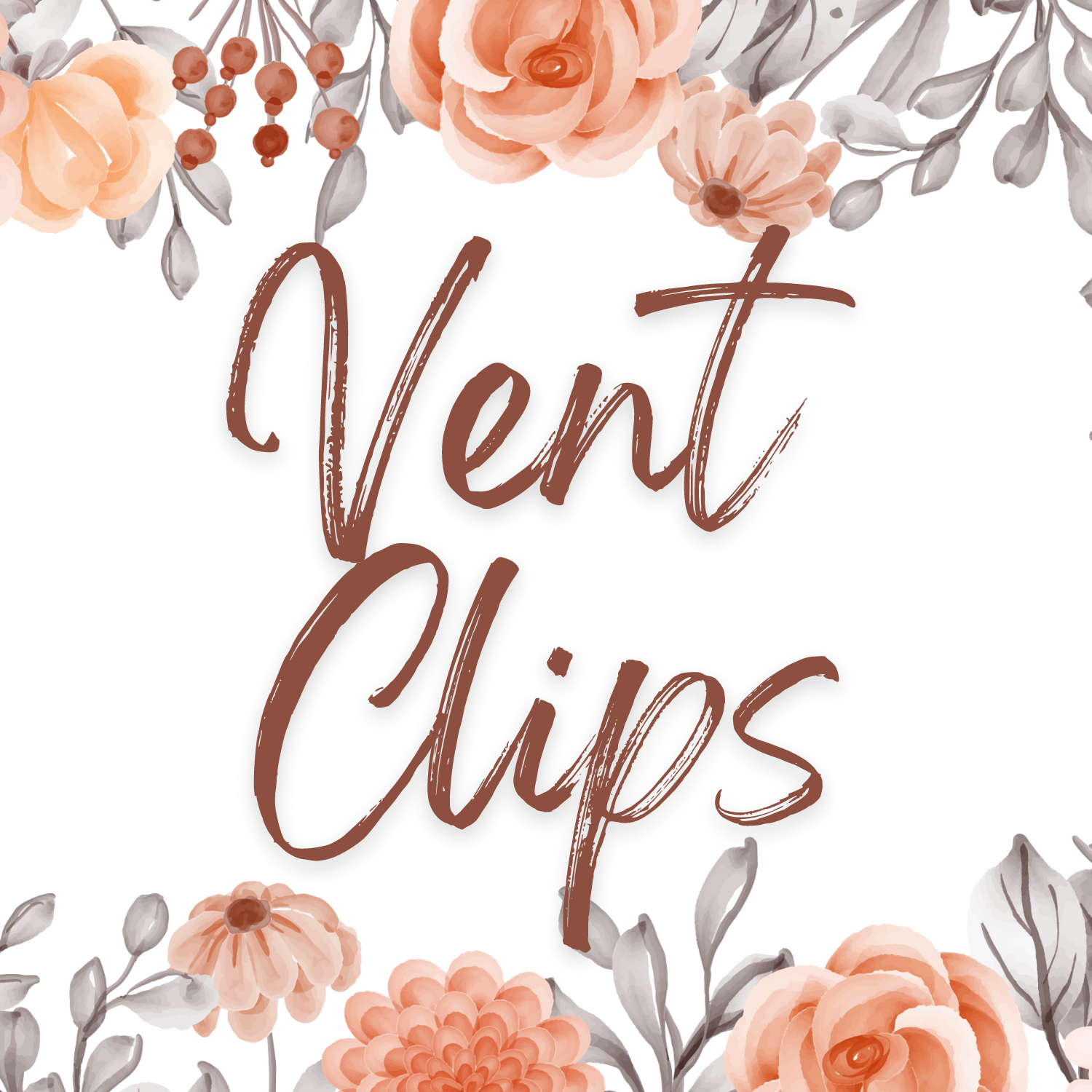 Vent Clips