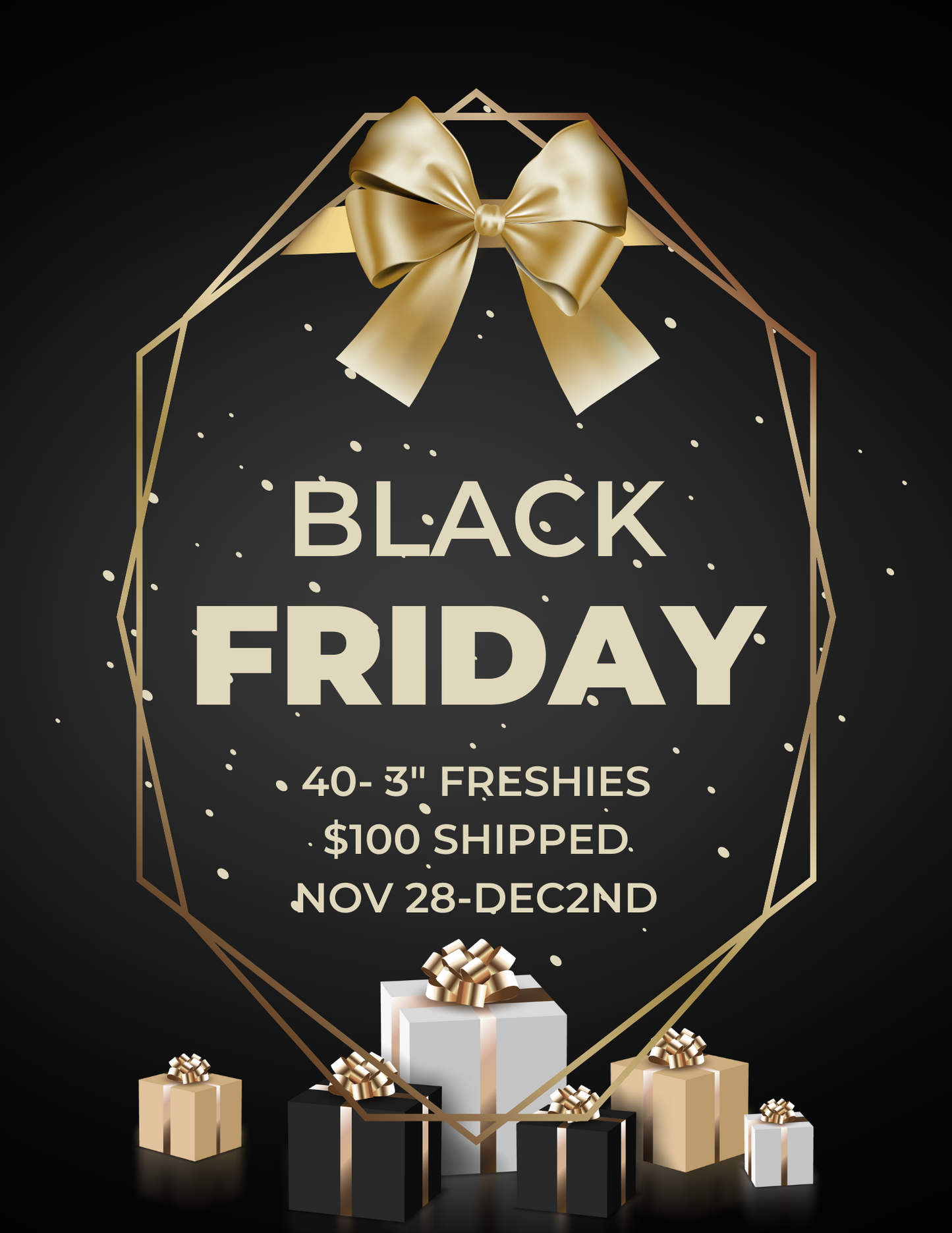 Black Friday Wholesale Bundle