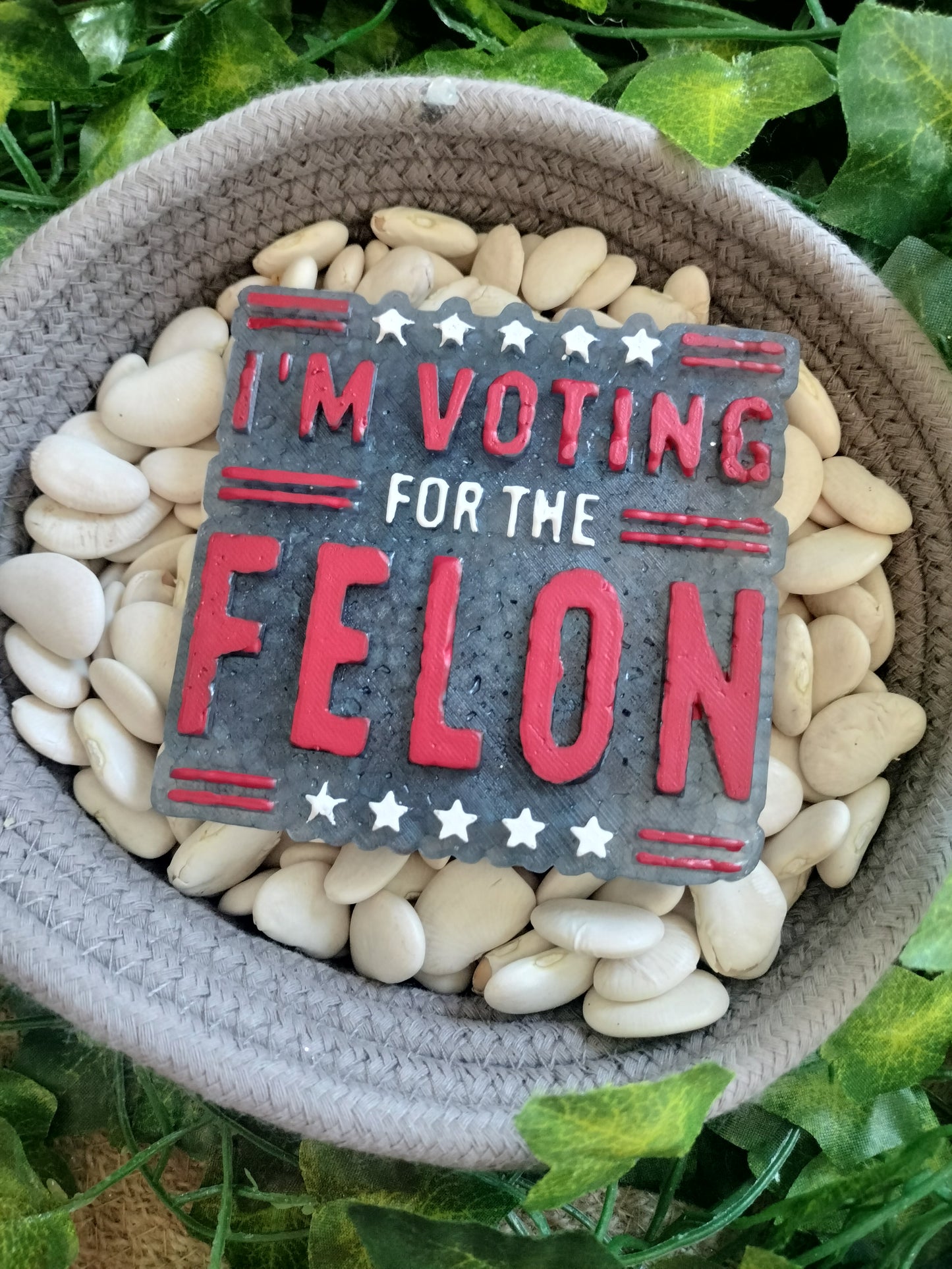 I'm voting for the Felon Trump Freshie