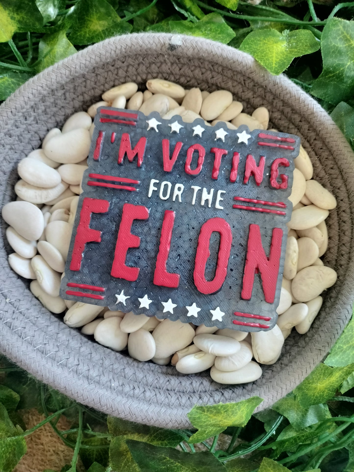 I'm voting for the Felon Trump Freshie